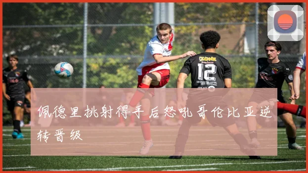 佩德里挑射得手后怒吼哥伦比亚逆转晋级