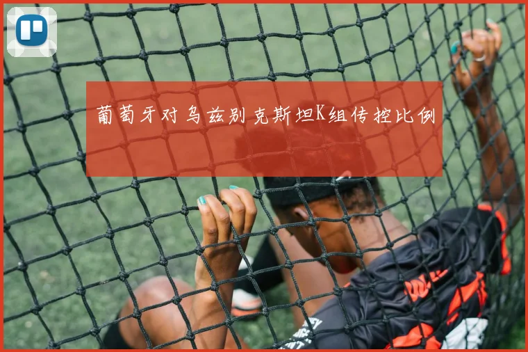 葡萄牙对乌兹别克斯坦K组传控比例