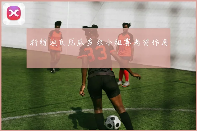 科特迪瓦厄瓜多尔小组赛老将作用