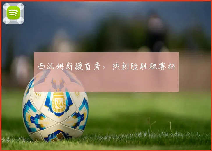 西汉姆新援首秀，热刺险胜联赛杯