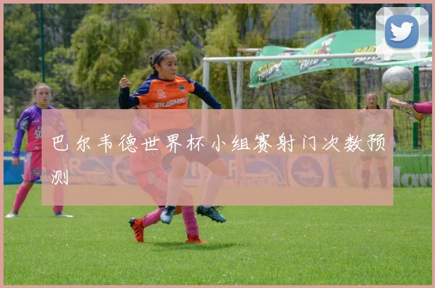 巴尔韦德世界杯小组赛射门次数预测