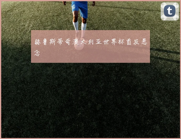 赫鲁斯蒂奇澳大利亚世界杯首发悬念