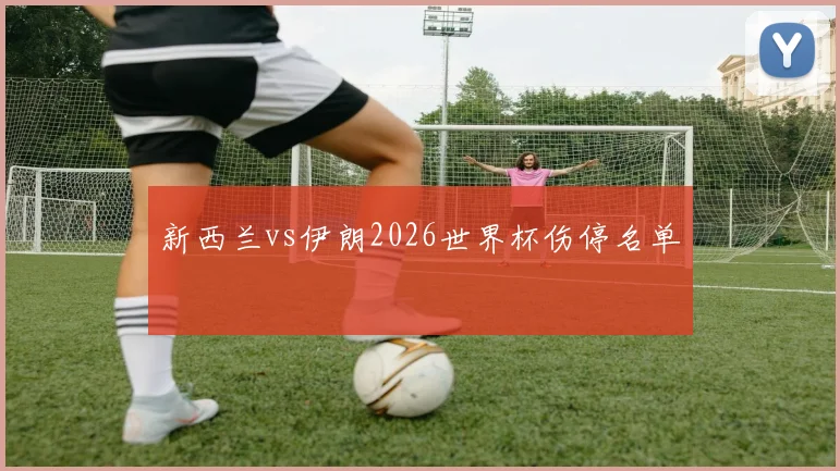 新西兰vs伊朗2026世界杯伤停名单