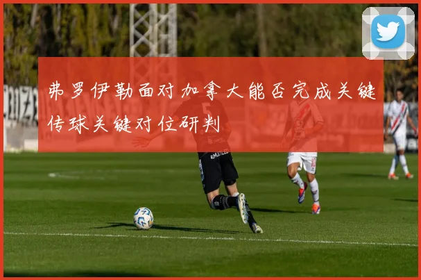 弗罗伊勒面对加拿大能否完成关键传球关键对位研判