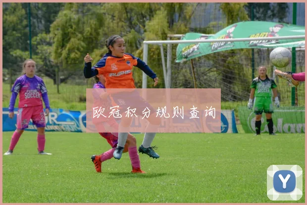 欧冠积分规则查询