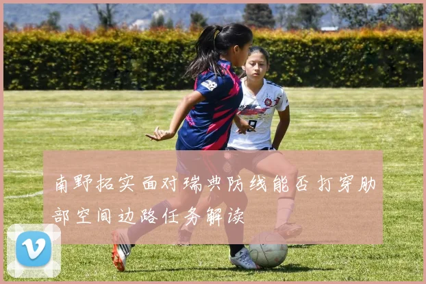 南野拓实面对瑞典防线能否打穿肋部空间边路任务解读