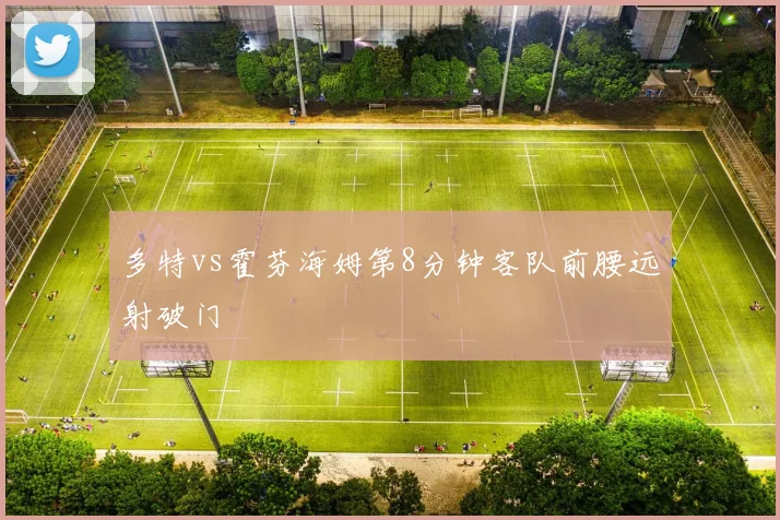 多特vs霍芬海姆第8分钟客队前腰远射破门